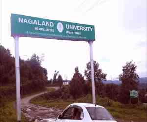Nagaland University