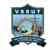 Veer Surendra Sai University of Technology
