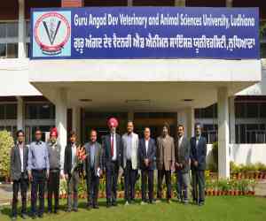 Guru Angad Dev Veterinary & Animal Sciences University Guru Angad Dev Veterinary & Animal Sciences University