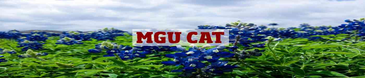 MGU CAT 2026