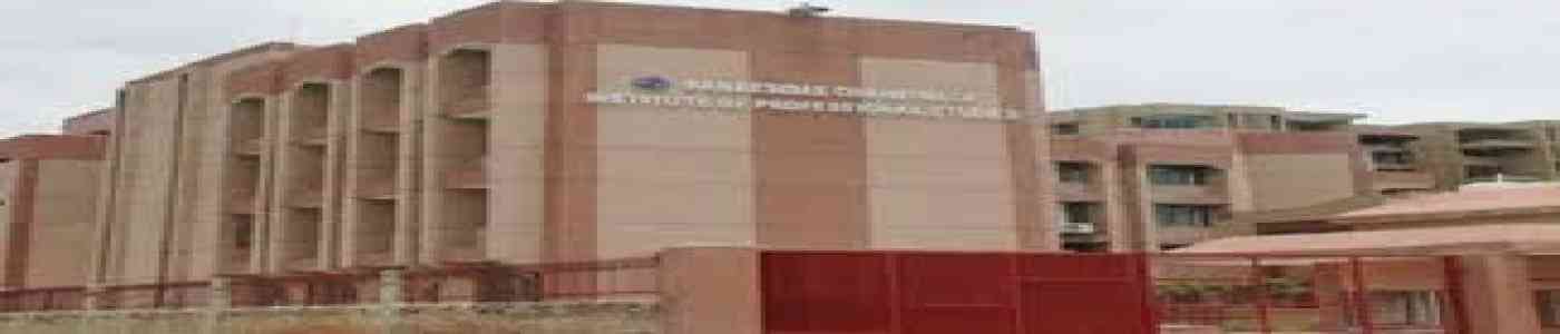 (BCIPS) Banarsidas Chandiwala Institute of Professional Studies (BCIPS) Banarsidas Chandiwala Institute of Professional Studies