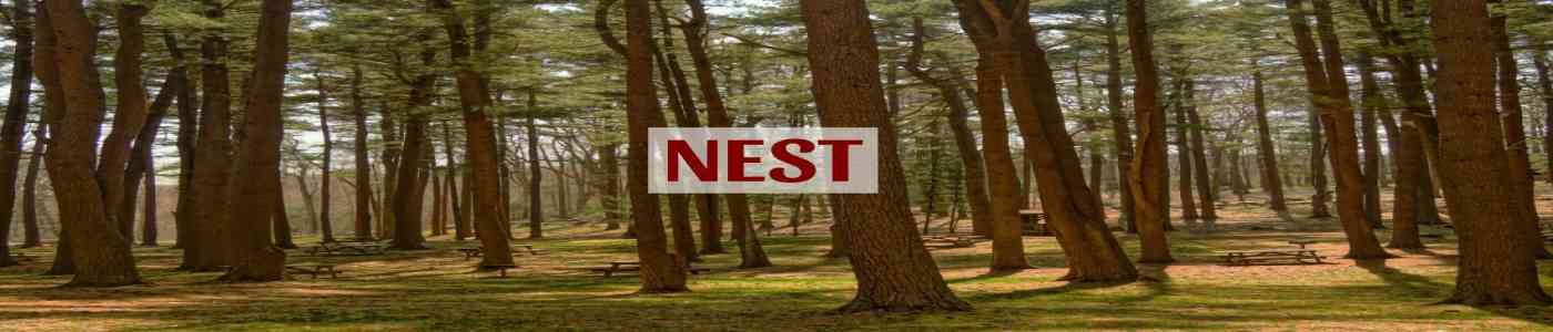 NEST 2026 NEST 2026