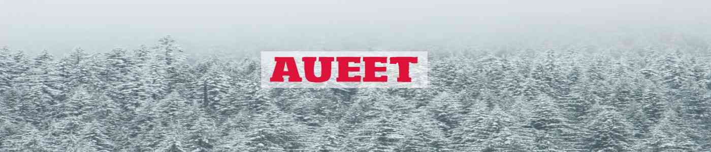 AUEET 2026