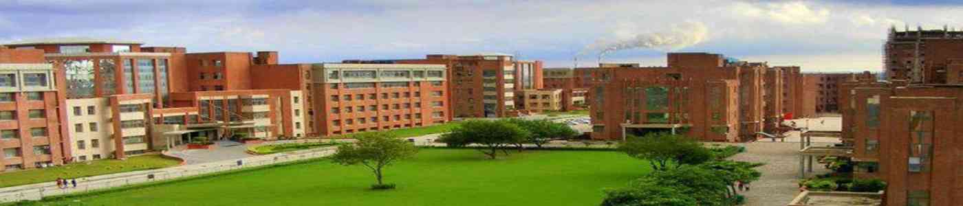Amity University, Noida
