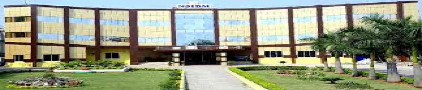 (NSIBM) Netaji Subhas Institute of Business Management 