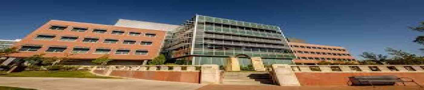 (API) Auroras Pharmacy Institute