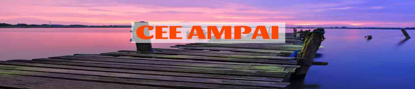 CEE AMPAI 2026
