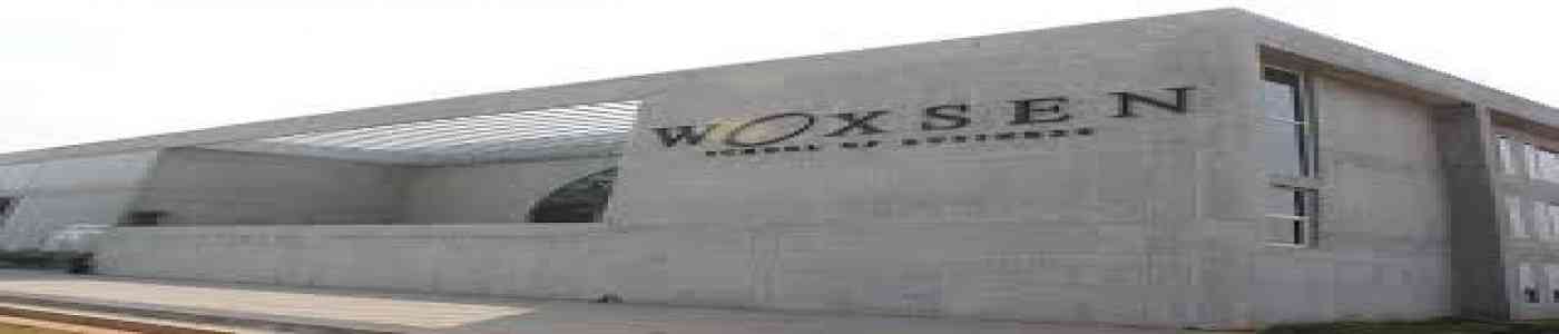 (WSB) Woxsen School of Business 