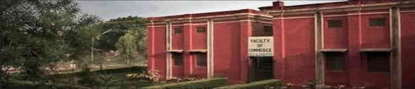 DEI Faculty of Commerce