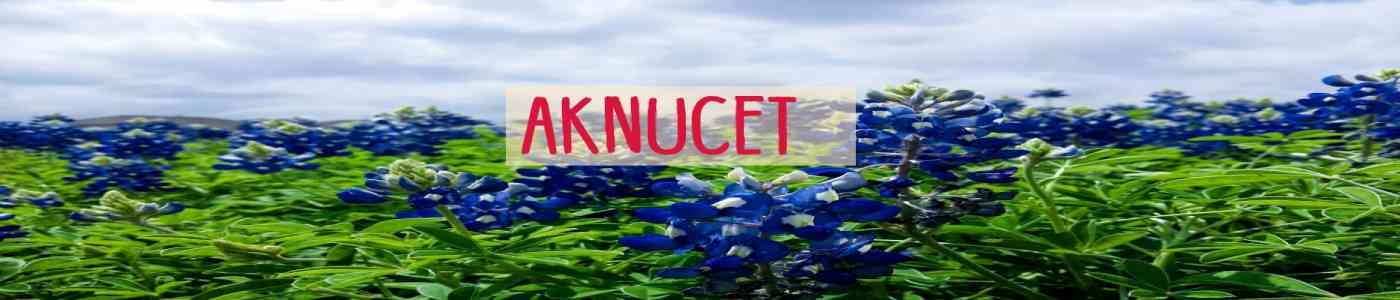 AKNUCET 2026