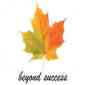 (SIIS) SAN International Info. School (SIIS) SAN International Info. School