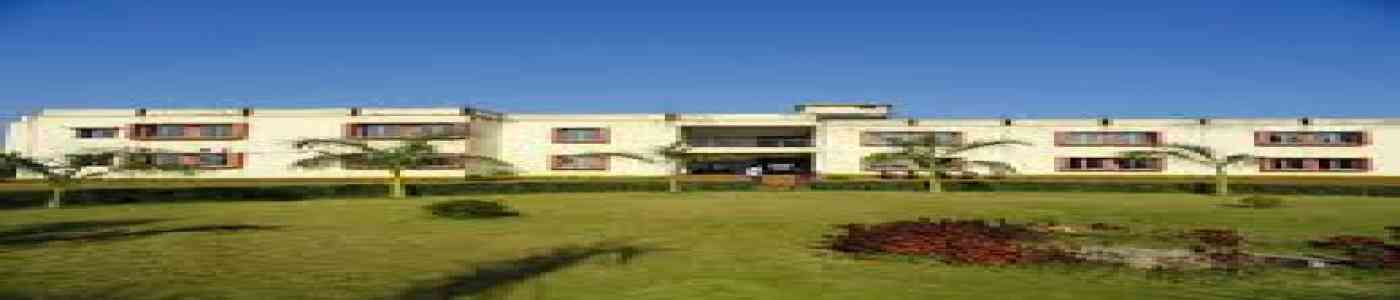 (IBS) Innovation-the Business School (IBS) Innovation-the Business School