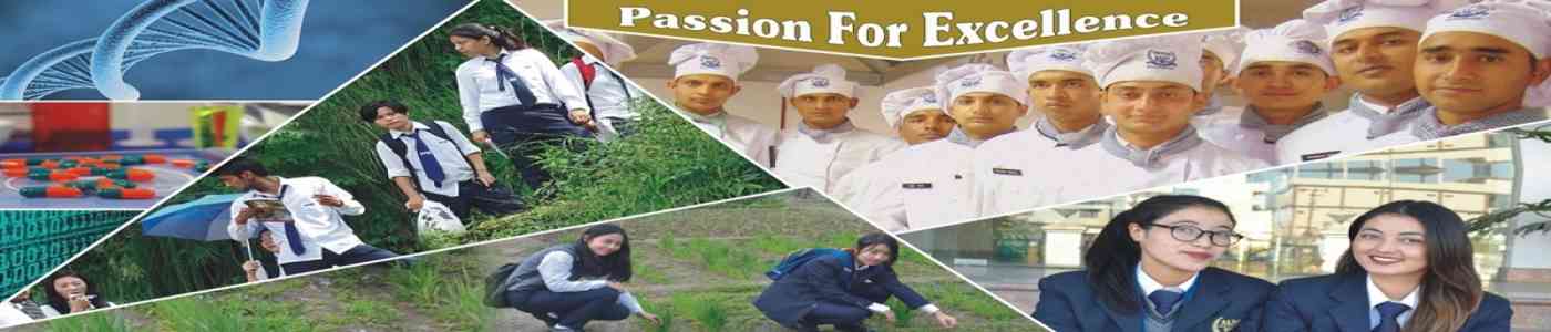 (AIMT) Alpine Institute of Management & Technology (AIMT) Alpine Institute of Management & Technology