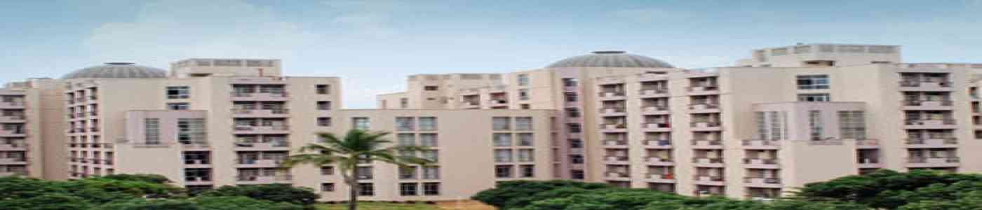 ICFAI Business School - IBS Gurgaon ICFAI Business School - IBS Gurgaon