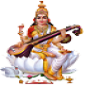 Shri Durga Siksha Niketan Degree College Shri Durga Siksha Niketan Degree College