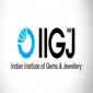 (IIGJ JAIPUR) Indian Institute of Gems & Jewellery (IIGJ JAIPUR) Indian Institute of Gems & Jewellery