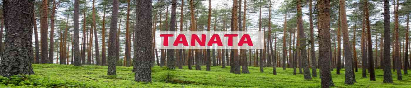 TANATA 2026 TANATA 2026