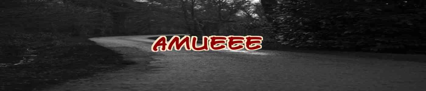 AMUEEE 2026 AMUEEE 2026