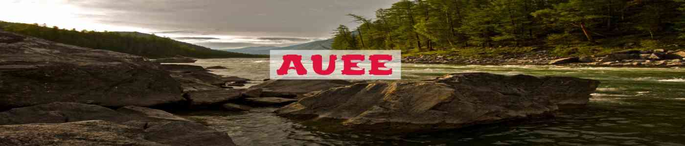 AUEE 2026 AUEE 2026
