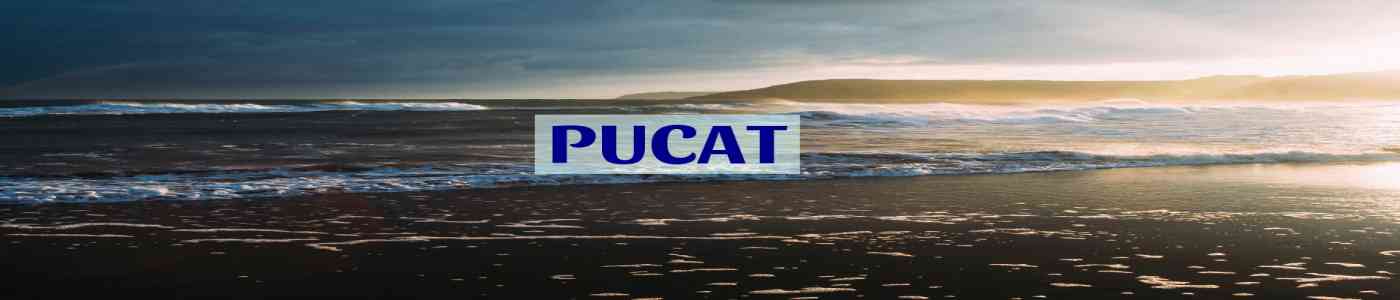 PUCAT 2026 PUCAT 2026