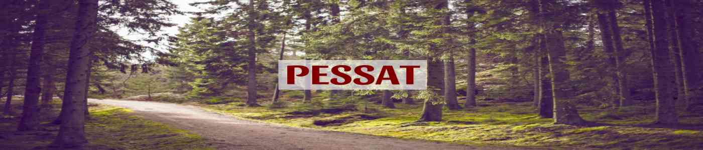 PESSAT 2026 PESSAT 2026