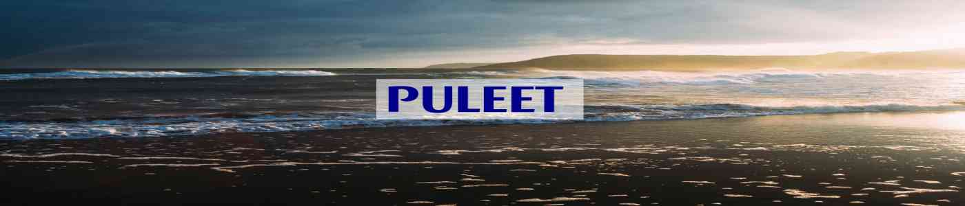 PULEET 2026 PULEET 2026