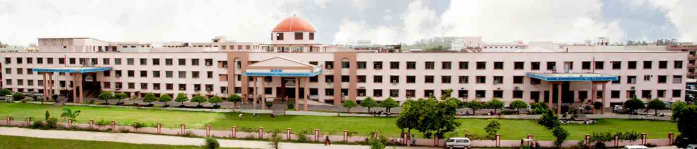 Bareilly International University Bareilly International University